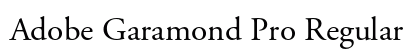 Adobe Garamond Pro Regular font free download