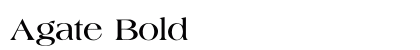 Agate Bold font free download