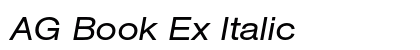 AG Book Ex Italic Preview