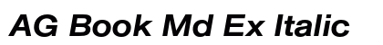 AG Book Md Ex Italic font free download