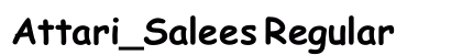 Attari_Salees Regular font free download