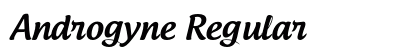 Androgyne Regular preview