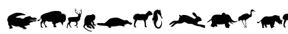 Animals Regular Preview