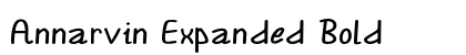 Annarvin Expanded Bold Preview