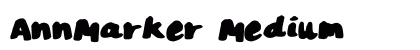 AnnMarker Medium preview