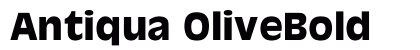 Antiqua OliveBold Preview