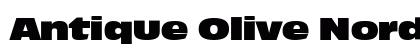 Antique Olive Nord P Regular font free download