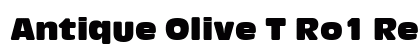Antique Olive T Ro1 Regular font free download