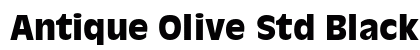 Antique Olive Std Black Preview