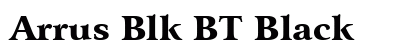 Arrus Blk BT Black preview