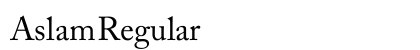 Aslam Regular font free download