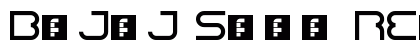 Bajaj Sans Regular Font Preview