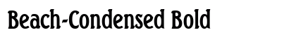 Beach-Condensed Bold Preview