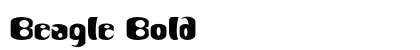 Beagle Bold Preview