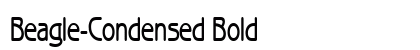 Beagle-Condensed Bold Preview