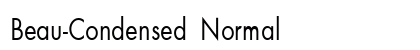 Beau-Condensed Normal Preview