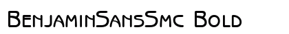 BenjaminSansSmc Bold font free download