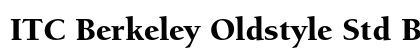 ITC Berkeley Oldstyle Std Black Preview
