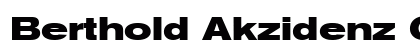 Berthold Akzidenz Grotesk BE Regular Preview