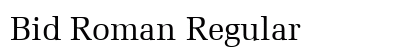 Bid Roman Regular Preview