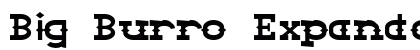 Big Burro Expanded Italic Preview