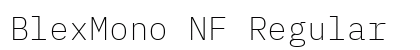 BlexMono NF Regular preview