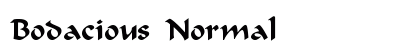 Bodacious Normal Font Preview