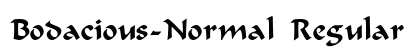 Bodacious-Normal Regular Font Preview