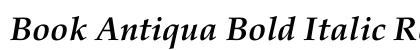 Book Antiqua Bold Italic Regular Font Preview