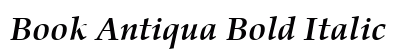 Book Antiqua Bold Italic Preview
