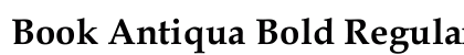 Book Antiqua Bold Regular Font Preview