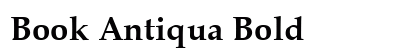 Book Antiqua Bold font free download