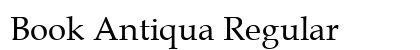Book Antiqua Regular Preview