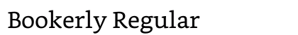 Bookerly Regular Font Bookerly Regular Font Preview