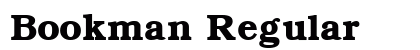 Bookman Regular font free download