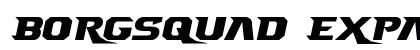 Borgsquad Expanded Expanded preview