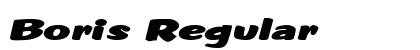 Boris Regular preview