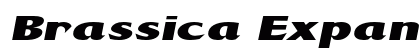 Brassica Expanded Bold preview