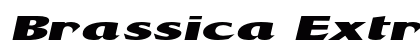 Brassica Extra-expanded Bold Preview