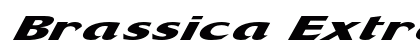 Brassica Extra-expanded Italic Preview