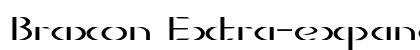 Braxon Extra-expanded Regular Preview