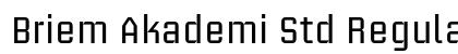 Briem Akademi Std Regular font free download