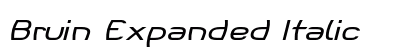 Bruin Expanded Italic Preview
