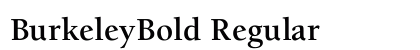 BurkeleyBold Regular font free download
