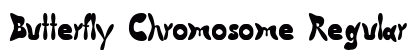 Butterfly Chromosome Regular Font Preview Butterfly Chromosome Regular Font Preview