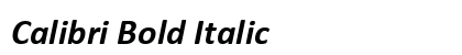 Calibri Bold Italic Preview