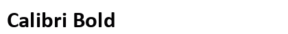 Calibri Bold Preview