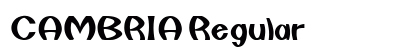 CAMBRIA Regular Font Preview