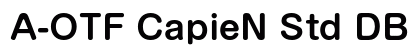 A-OTF CapieN Std DB font free download