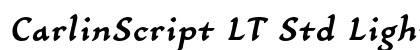 CarlinScript LT Std Light BoldItalic font free download